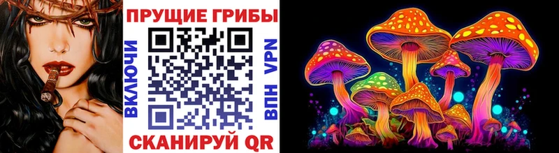 мориарти какой сайт  Нюрба  Галлюциногенные грибы Psilocybe 